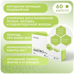 Gastro