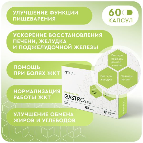 Gastro